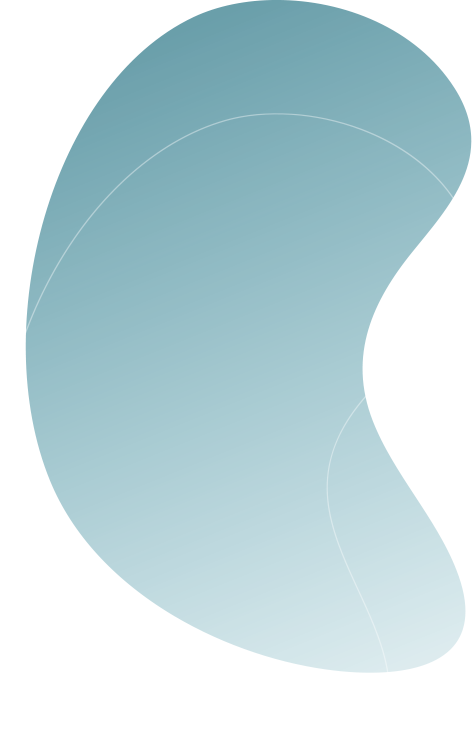 https://www.spree-umzuege.com/wp-content/uploads/2025/01/floating_image_05.png