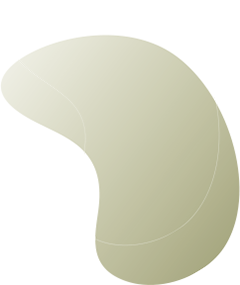 https://www.spree-umzuege.com/wp-content/uploads/2025/01/floating_image_08.png